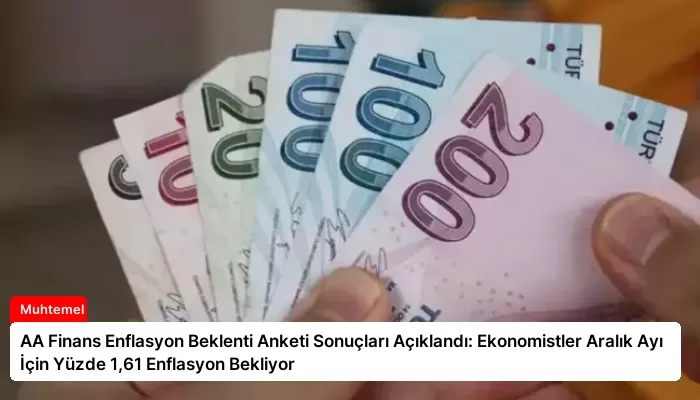 AA Finans Enflasyon Beklenti Anketi Sonuçları Açıklandı: Ekonomistler Aralık Ayı İçin Yüzde 1,61 Enflasyon Bekliyor