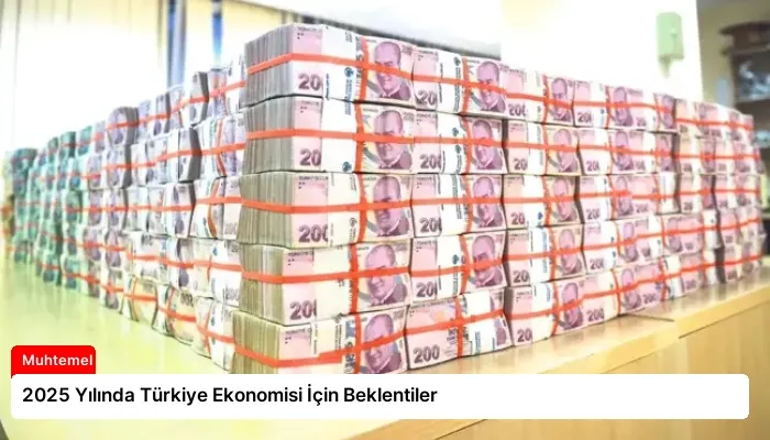 2025 Yılında Türkiye Ekonomisi İçin Beklentiler