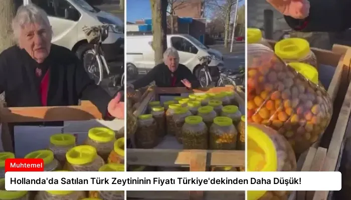 Hollanda’da Satılan Türk Zeytininin Fiyatı Türkiye’dekinden Daha Düşük!