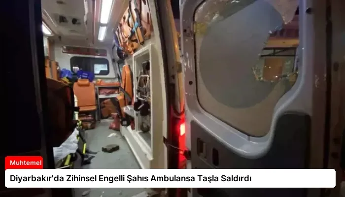 Diyarbakır’da Zihinsel Engelli Şahıs Ambulansa Taşla Saldırdı