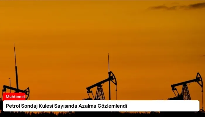 Petrol Sondaj Kulesi Sayısında Azalma Gözlemlendi