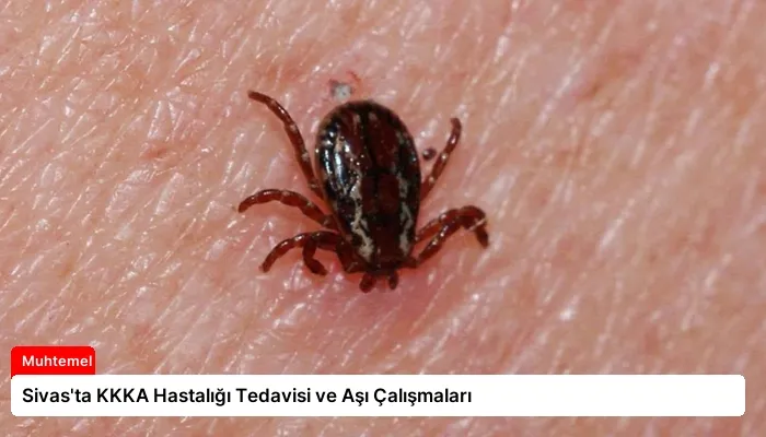 Sivas’ta KKKA Hastalığı Tedavisi ve Aşı Çalışmaları