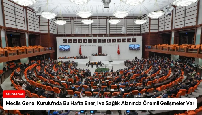 Meclis Genel Kurulu’nda Bu Hafta Enerji ve Sağlık Alanında Önemli Gelişmeler Var