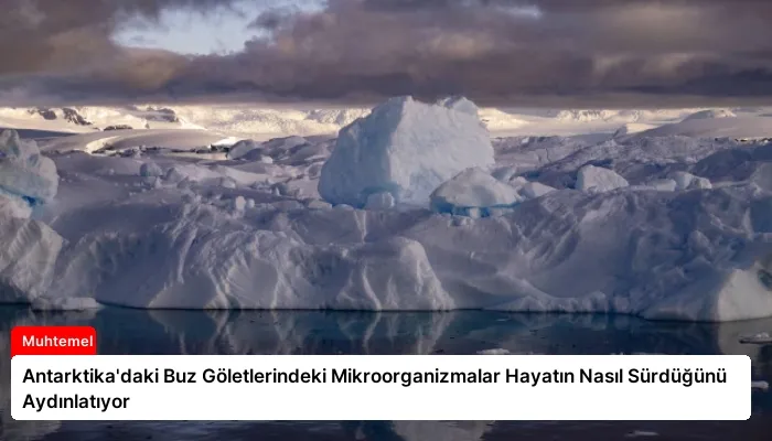 Antarktika’daki Buz Göletlerindeki Mikroorganizmalar Hayatın Nasıl Sürdüğünü Aydınlatıyor