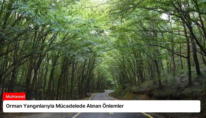 Orman Yangınlarıyla Mücadelede Alınan Önlemler