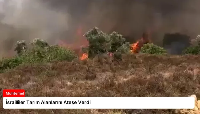 İsrailliler Tarım Alanlarını Ateşe Verdi