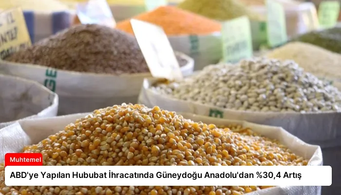 ABD’ye Yapılan Hububat İhracatında Güneydoğu Anadolu’dan %30,4 Artış