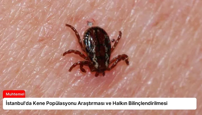 İstanbul’da Kene Popülasyonu Araştırması ve Halkın Bilinçlendirilmesi