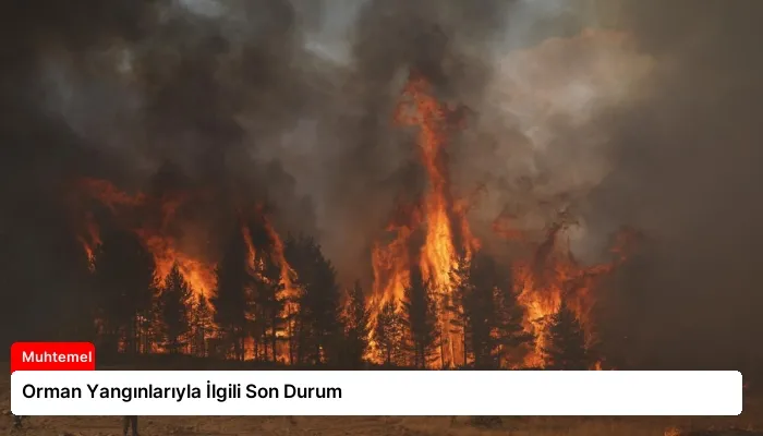 Orman Yangınlarıyla İlgili Son Durum