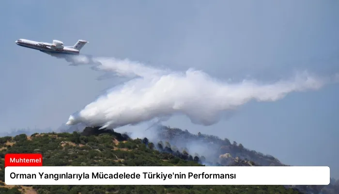 Orman Yangınlarıyla Mücadelede Türkiye’nin Performansı