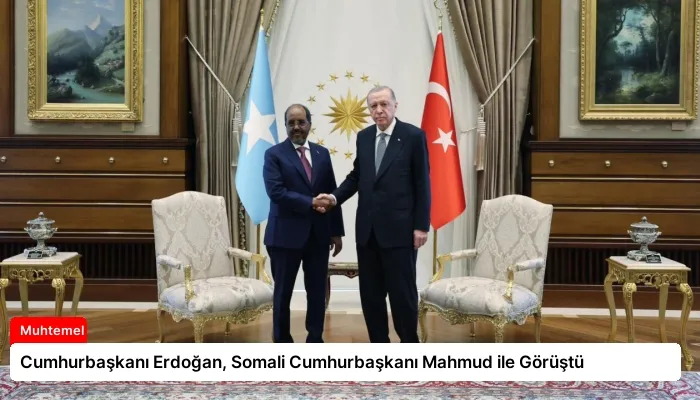 Cumhurbaşkanı Erdoğan, Somali Cumhurbaşkanı Mahmud ile Görüştü