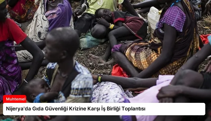 Nijerya’da Gıda Güvenliği Krizine Karşı İş Birliği Toplantısı