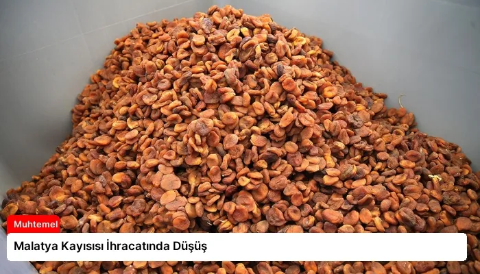 Malatya Kayısısı İhracatında Düşüş