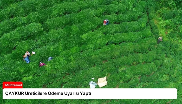 ÇAYKUR Üreticilere Ödeme Uyarısı Yaptı