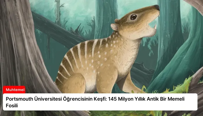 Portsmouth Üniversitesi Öğrencisinin Keşfi: 145 Milyon Yıllık Antik Bir Memeli Fosili