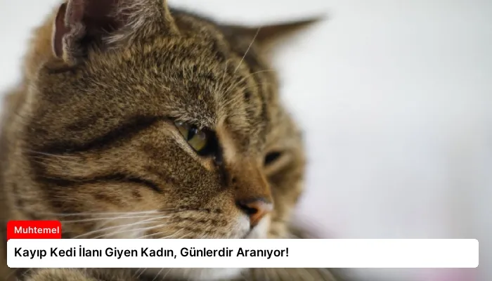 Kayıp Kedi İlanı Giyen Kadın, Günlerdir Aranıyor!
