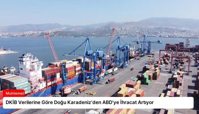 DKİB Verilerine Göre Doğu Karadeniz’den ABD’ye İhracat Artıyor