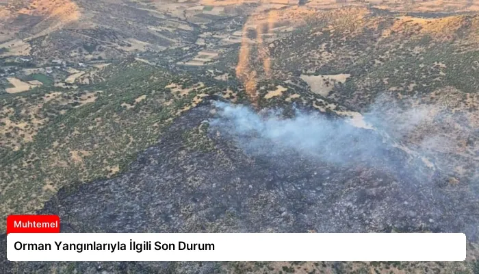 Orman Yangınlarıyla İlgili Son Durum