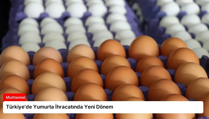 Türkiye’de Yumurta İhracatında Yeni Dönem