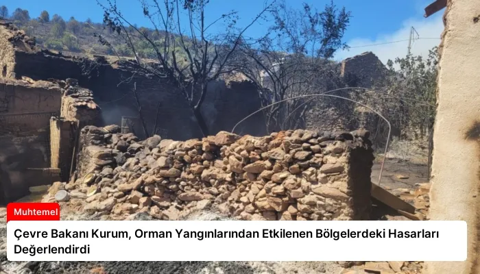 Çevre Bakanı Kurum, Orman Yangınlarından Etkilenen Bölgelerdeki Hasarları Değerlendirdi