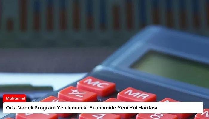 Orta Vadeli Program Yenilenecek: Ekonomide Yeni Yol Haritası