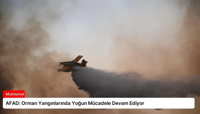 AFAD: Orman Yangınlarında Yoğun Mücadele Devam Ediyor