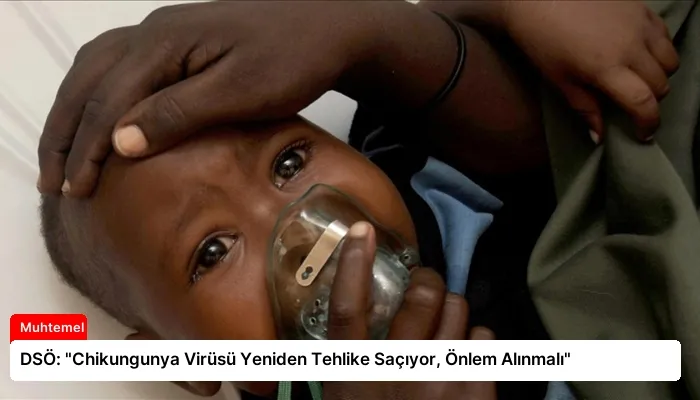 DSÖ: “Chikungunya Virüsü Yeniden Tehlike Saçıyor, Önlem Alınmalı”