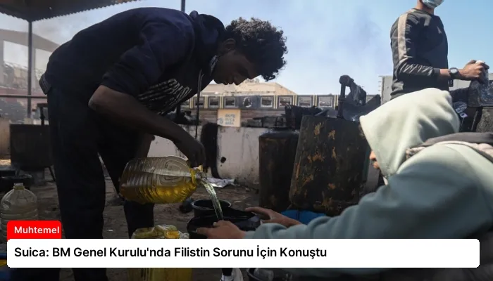 Suica: BM Genel Kurulu’nda Filistin Sorunu İçin Konuştu