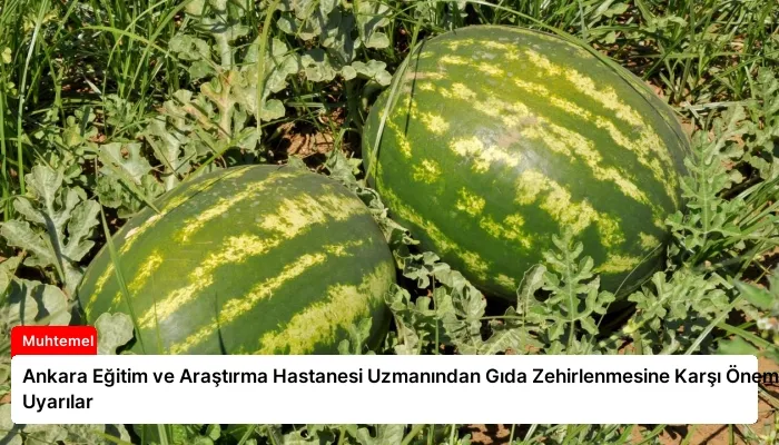 Ankara Eğitim ve Araştırma Hastanesi Uzmanından Gıda Zehirlenmesine Karşı Önemli Uyarılar