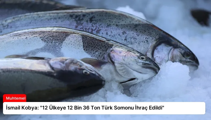 İsmail Kobya: “12 Ülkeye 12 Bin 36 Ton Türk Somonu İhraç Edildi”