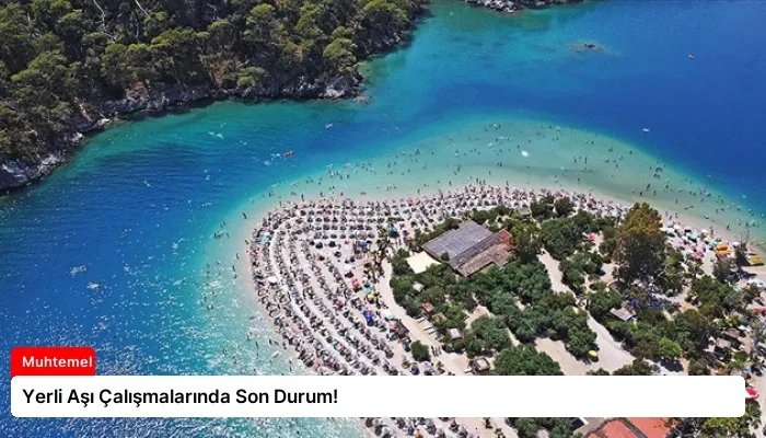 Yerli Aşı Çalışmalarında Son Durum!
