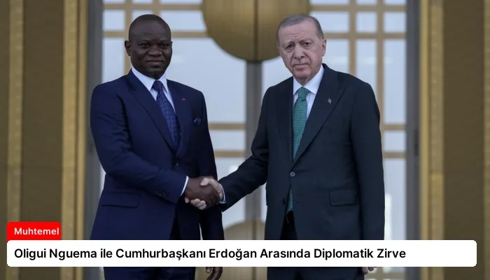 Oligui Nguema ile Cumhurbaşkanı Erdoğan Arasında Diplomatik Zirve