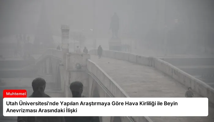 Utah Üniversitesi’nde Yapılan Araştırmaya Göre Hava Kirliliği ile Beyin Anevrizması Arasındaki İlişki