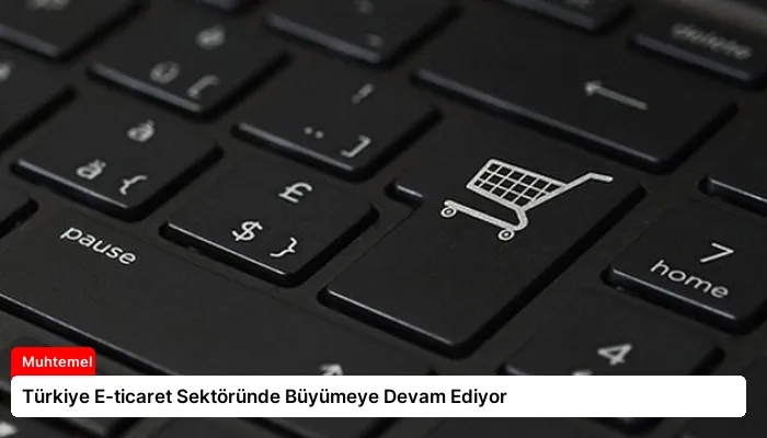 Türkiye E-ticaret Sektöründe Büyümeye Devam Ediyor