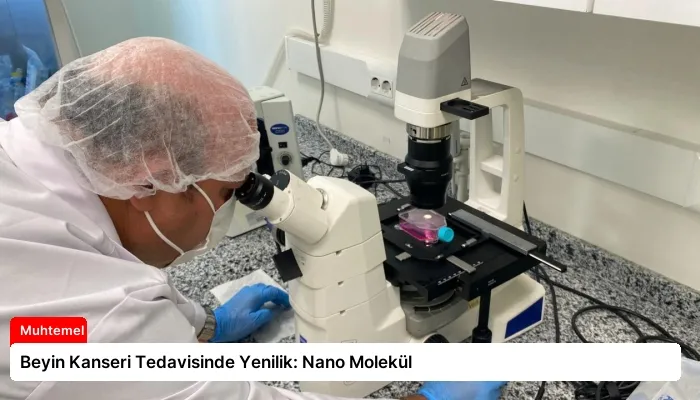 Beyin Kanseri Tedavisinde Yenilik: Nano Molekül
