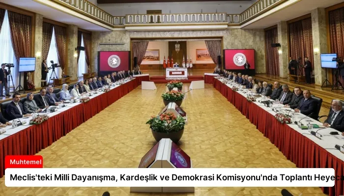 Meclis’teki Milli Dayanışma, Kardeşlik ve Demokrasi Komisyonu’nda Toplantı Heyecanı