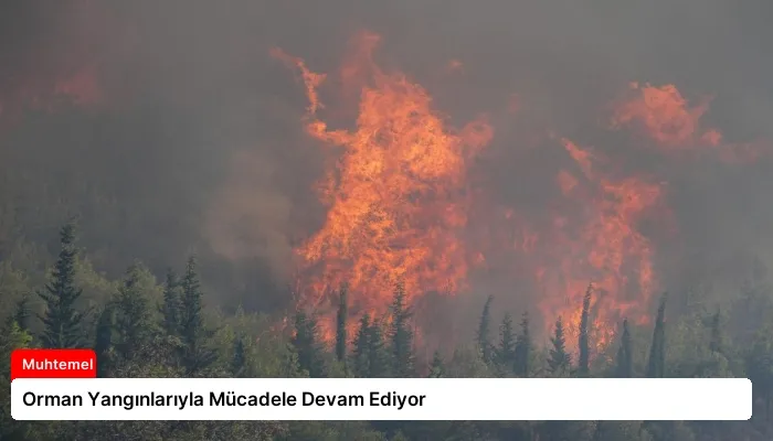Orman Yangınlarıyla Mücadele Devam Ediyor