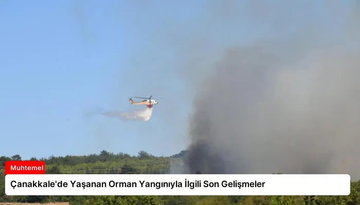 Çanakkale’de Yaşanan Orman Yangınıyla İlgili Son Gelişmeler