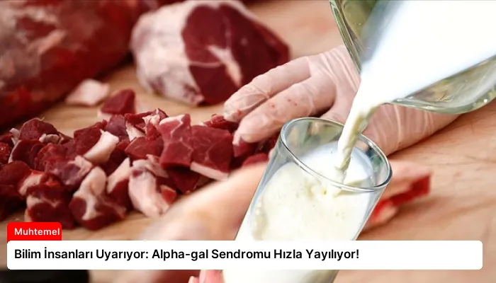 Bilim İnsanları Uyarıyor: Alpha-gal Sendromu Hızla Yayılıyor!