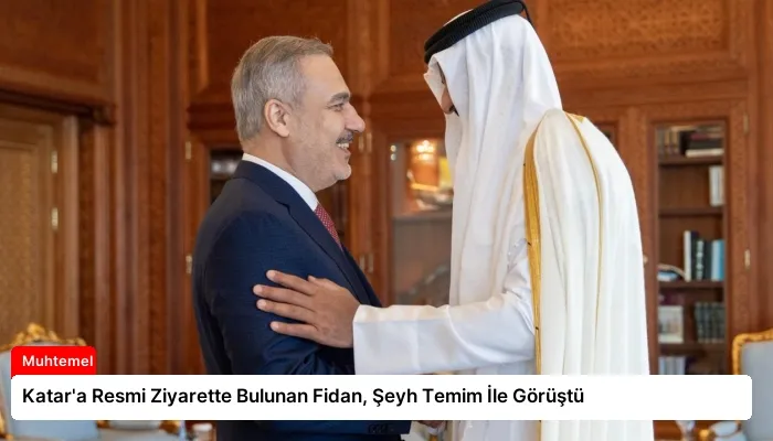Katar’a Resmi Ziyarette Bulunan Fidan, Şeyh Temim İle Görüştü