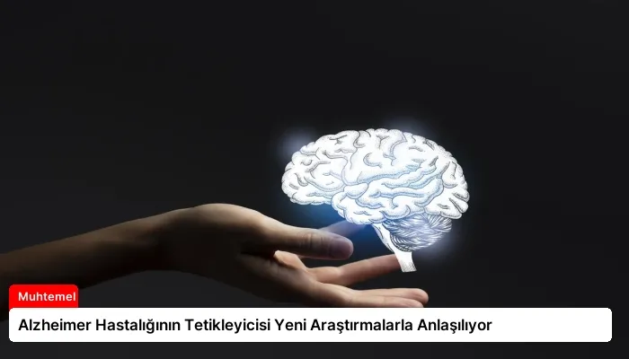 Alzheimer Hastalığının Tetikleyicisi Yeni Araştırmalarla Anlaşılıyor