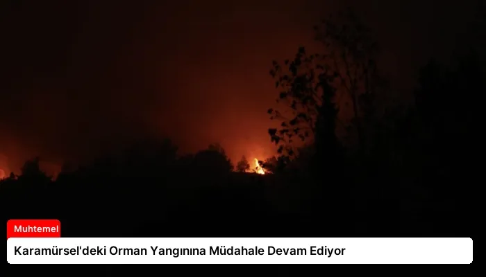 Karamürsel’deki Orman Yangınına Müdahale Devam Ediyor