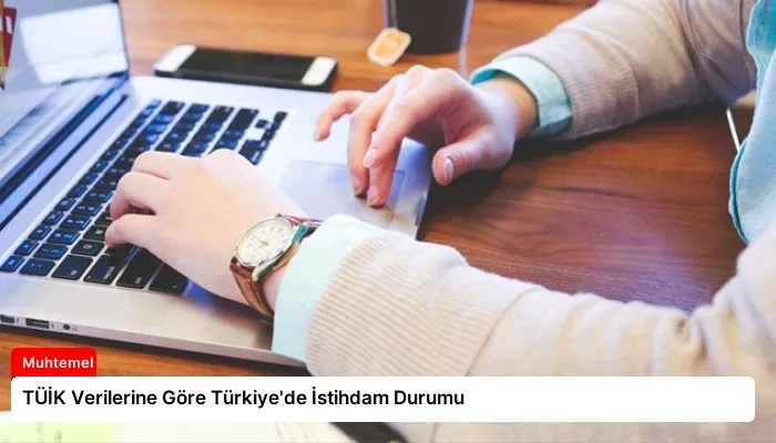 TÜİK Verilerine Göre Türkiye’de İstihdam Durumu