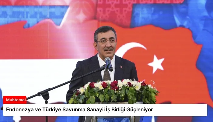 Endonezya ve Türkiye Savunma Sanayii İş Birliği Güçleniyor