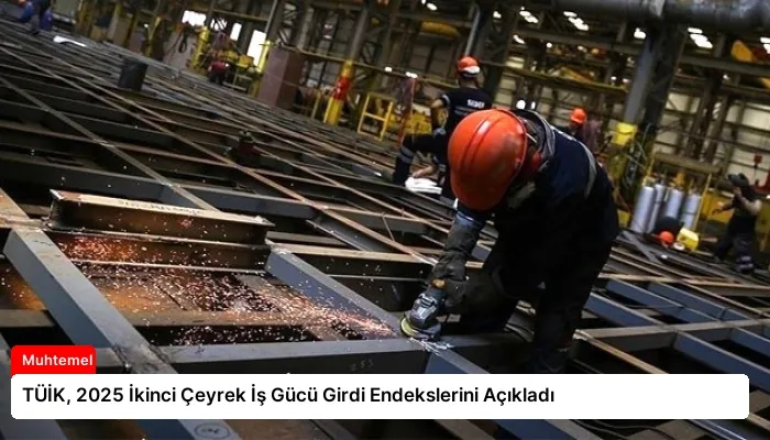 TÜİK, 2025 İkinci Çeyrek İş Gücü Girdi Endekslerini Açıkladı