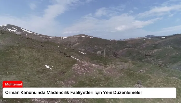 Orman Kanunu’nda Madencilik Faaliyetleri İçin Yeni Düzenlemeler