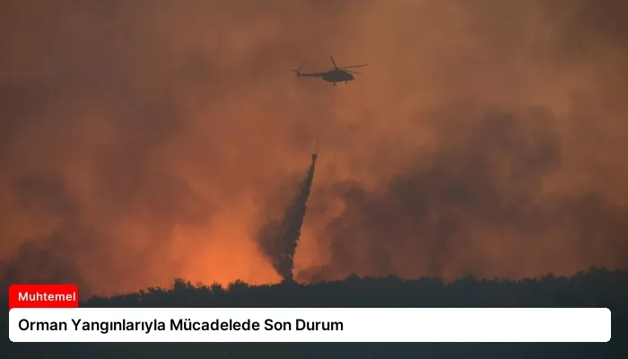 Orman Yangınlarıyla Mücadelede Son Durum