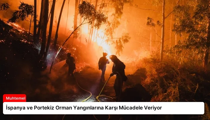 İspanya ve Portekiz Orman Yangınlarına Karşı Mücadele Veriyor