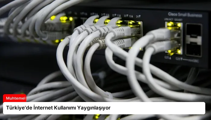 Türkiye’de İnternet Kullanımı Yaygınlaşıyor
