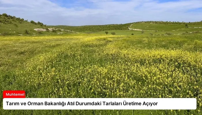 Tarım ve Orman Bakanlığı Atıl Durumdaki Tarlaları Üretime Açıyor